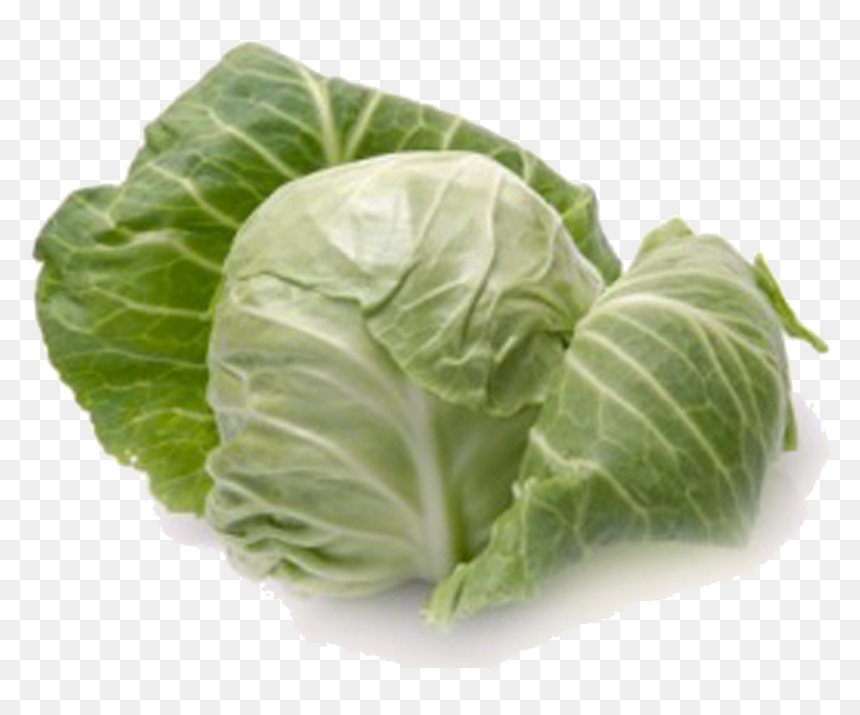 Cabbage Png - Cabbage Definition, Transparent Png - collard greens png