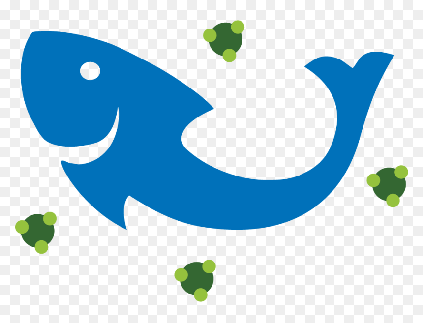 While The Plants Absorb All The Nutrients, The Water - Aquaponics Clipart, HD Png Download - water plants png