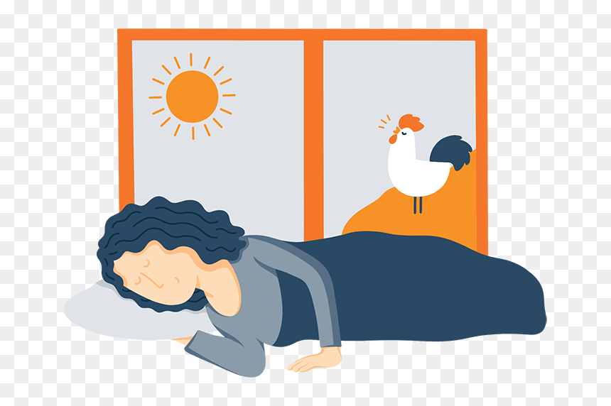 A Woman In Bed Sleeping While A Rooster Crows Illustration - Sleeping Cartoon Hd, HD Png Download - person sleeping png