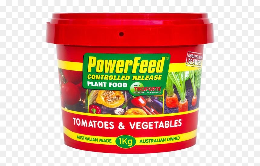 Vegetable Plant Png, Transparent Png - vegetable plant png
