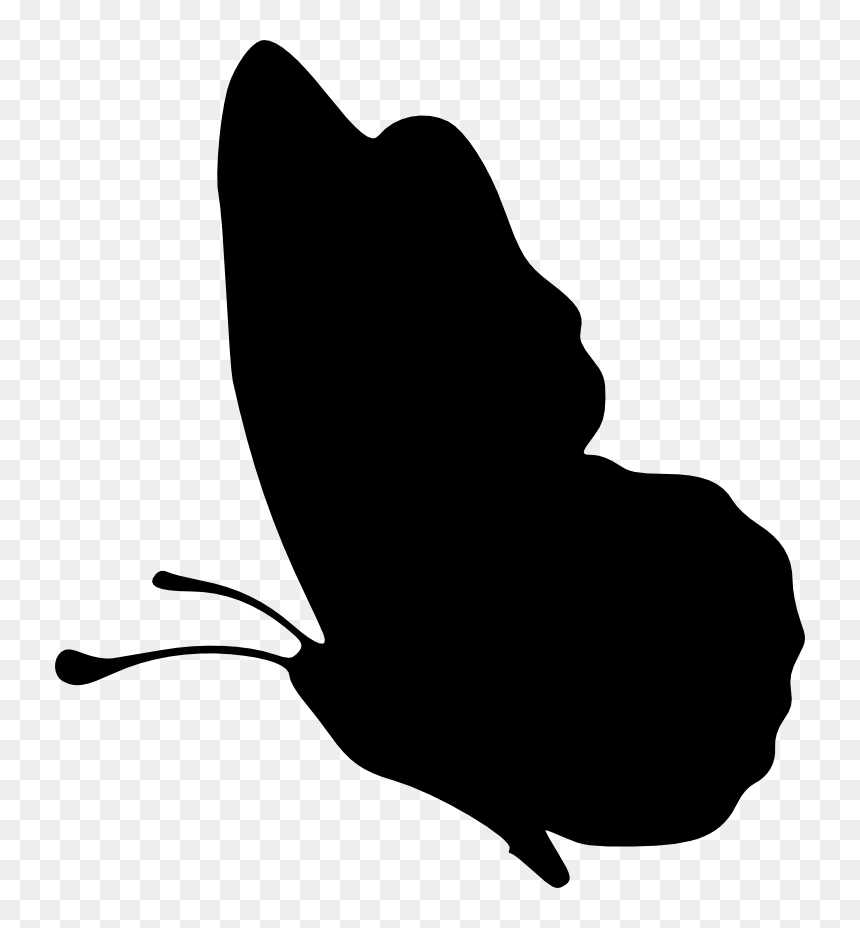 Transparent Background Butterfly Silhouette Png, Png Download - butterfly wing png