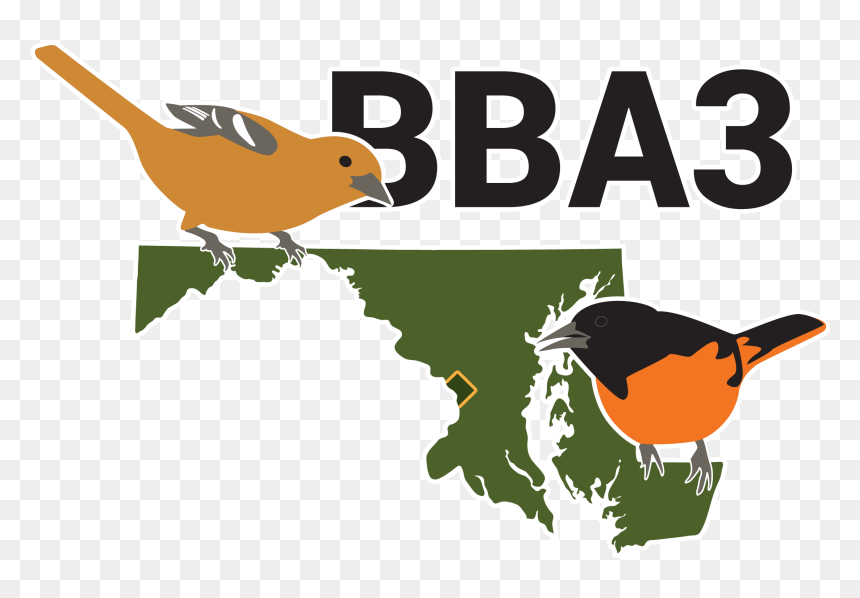 Maryland Vector, HD Png Download - robin bird png