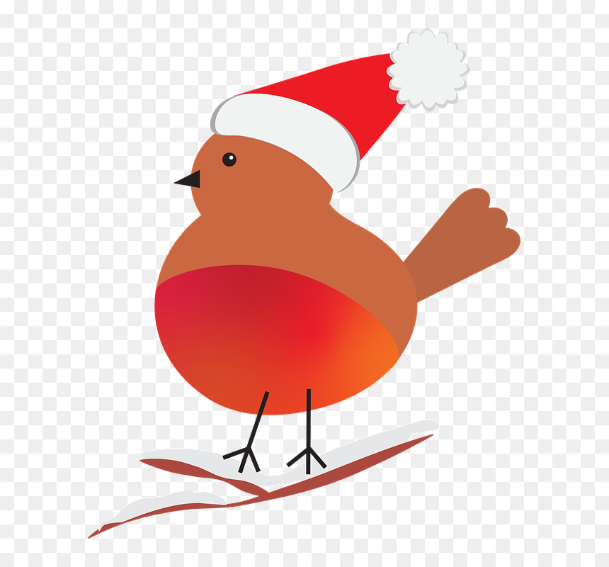 Robin Bird Png, Transparent Png - robin bird png