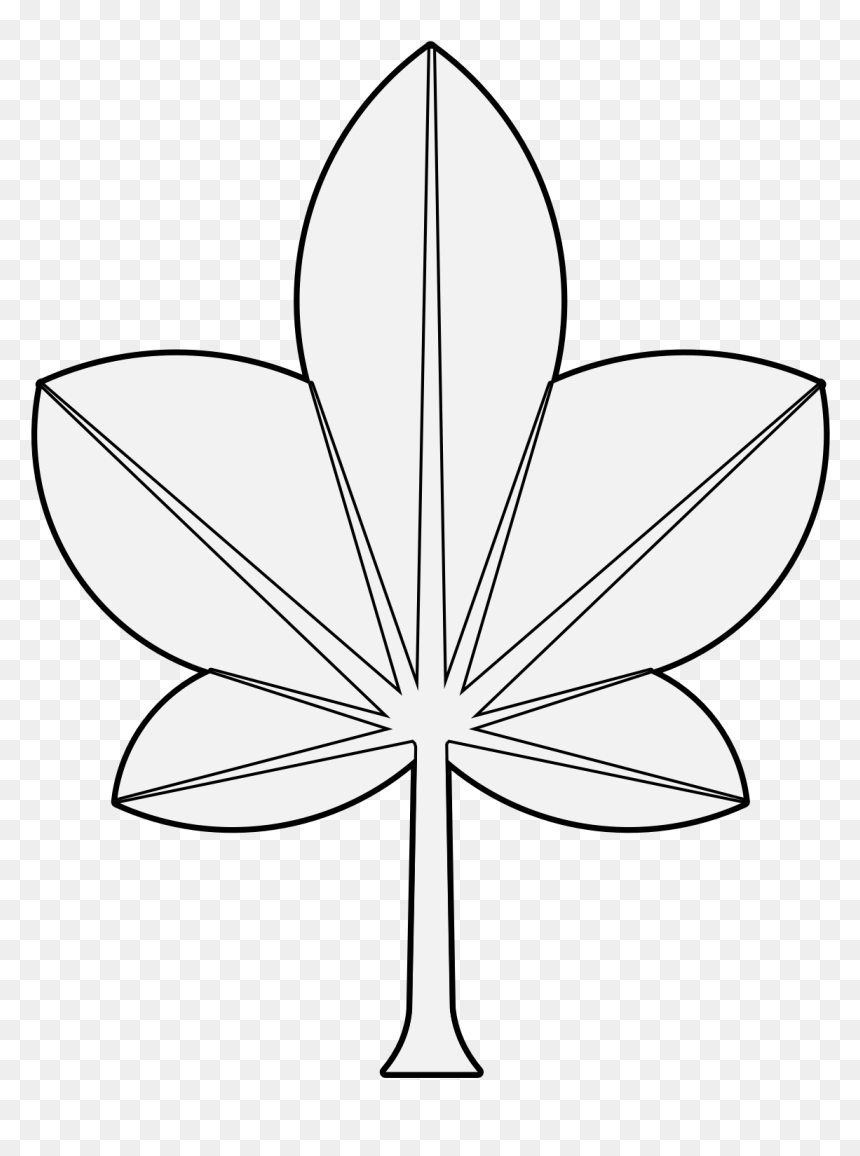 Flower, HD Png Download - ivy vine png