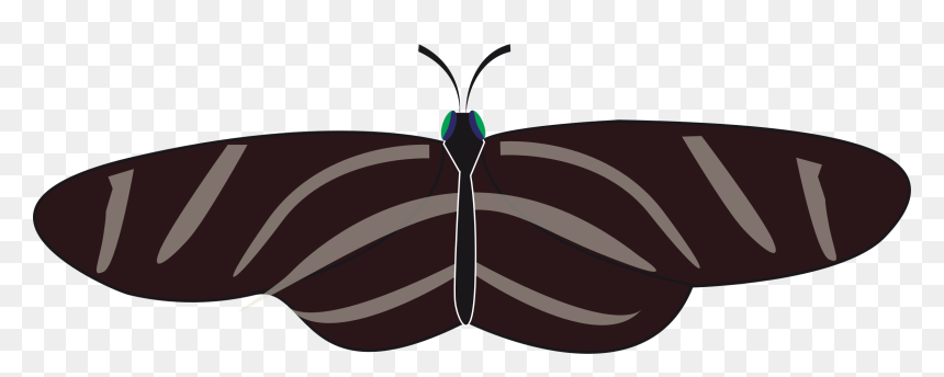 Butterfly Zebra Long Wing Clip Arts - Mariposa Cebra Heliconius Charithonia, HD Png Download - butterfly wing png