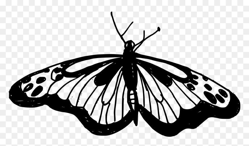 Monarch Butterfly, HD Png Download - butterfly wing png