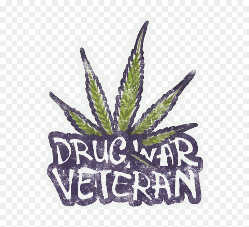Sealed Graffiti - Drug War Veteran Png, Transparent Png - grafitti png