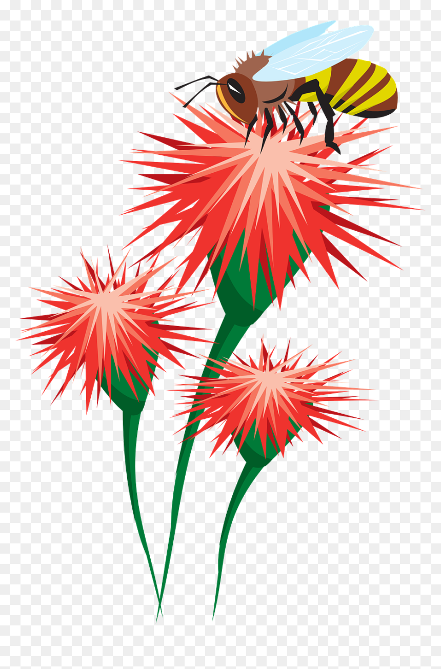 Bee On Flower Clipart, HD Png Download - pollen png