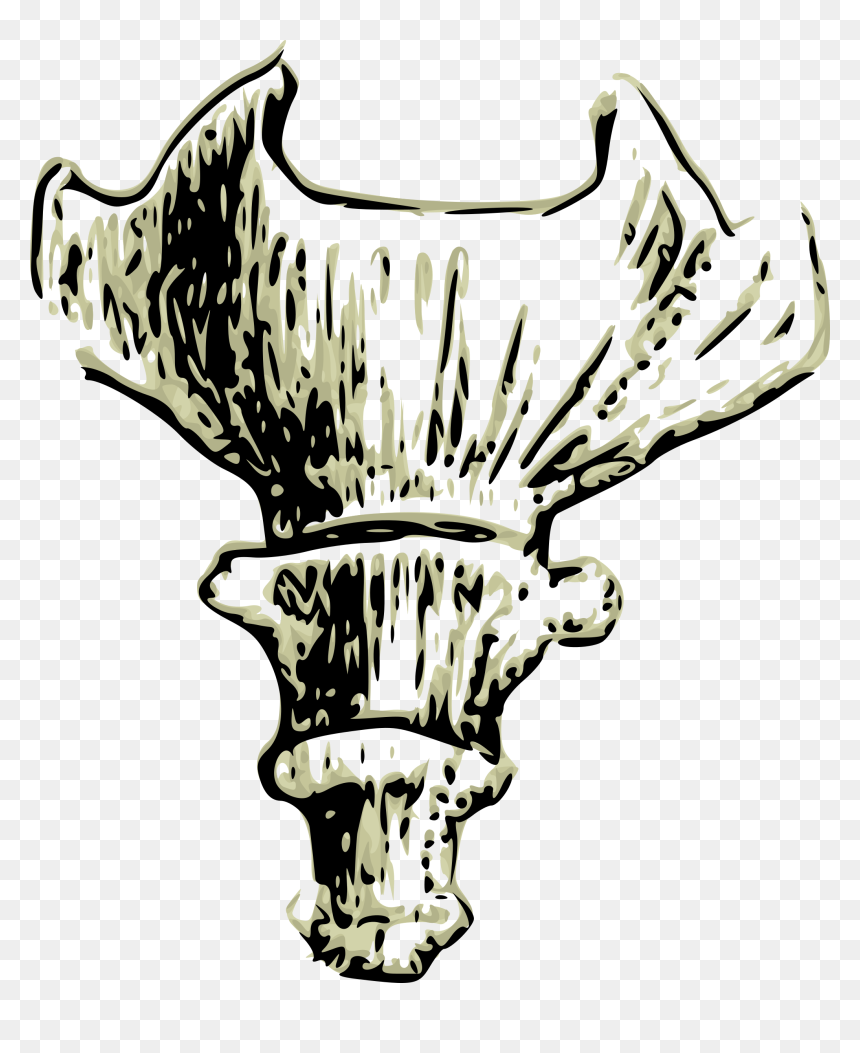Clipart Bird Bone - Coccix Png, Transparent Png - bone pile png