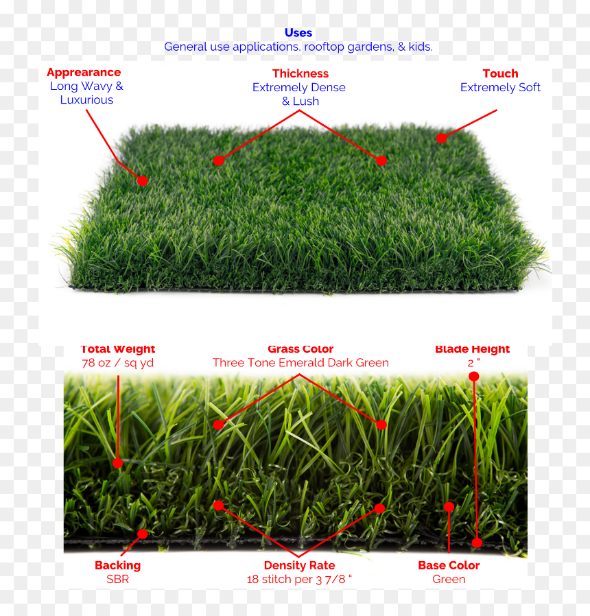 Premium Blade Grass-lush Synthetic Grass - Lush Dark Green Grass, HD Png Download - blade of grass png
