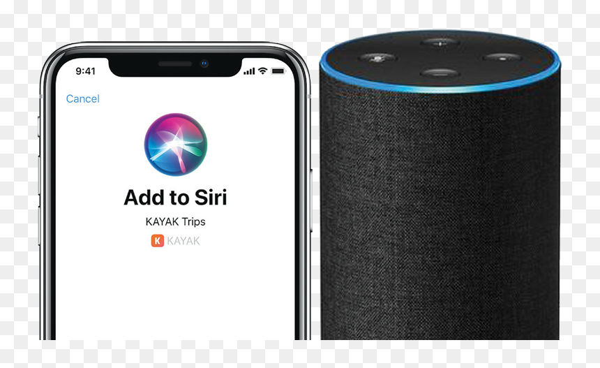 Alexa And Siri Friends, HD Png Download - siri png
