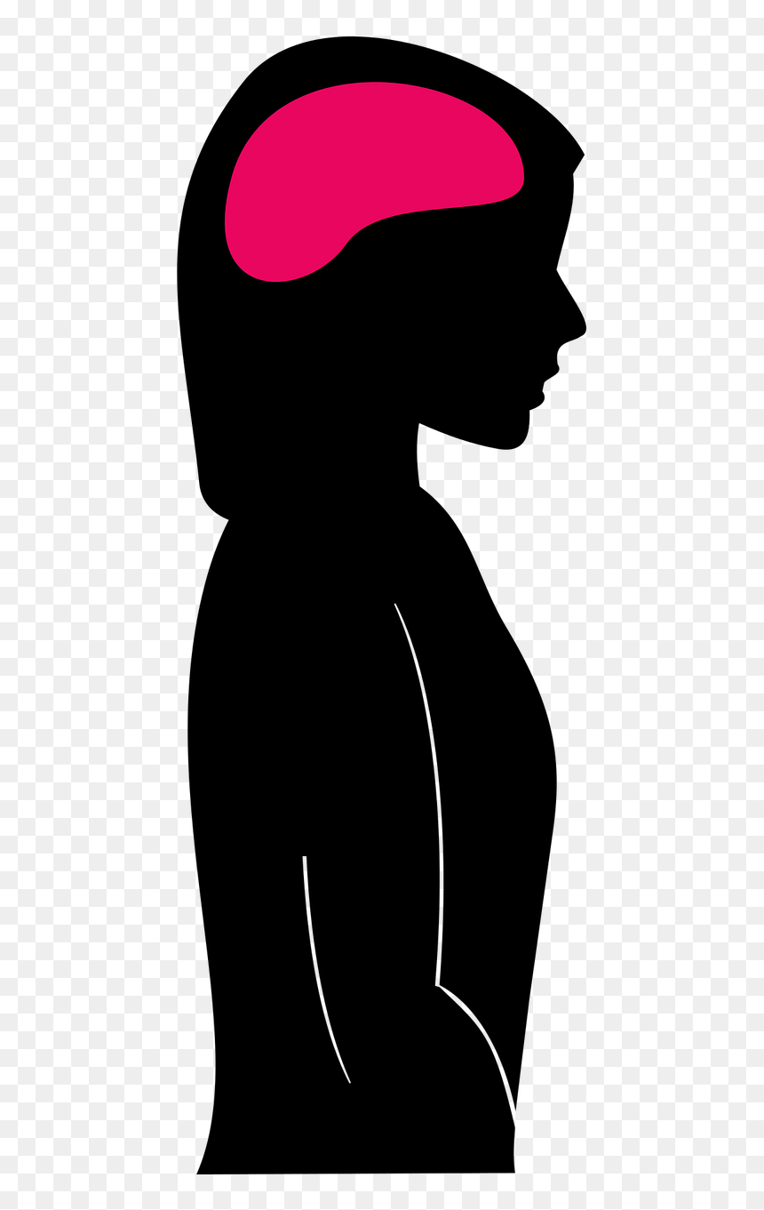 Woman Head Brain Clipart, HD Png Download - human head png
