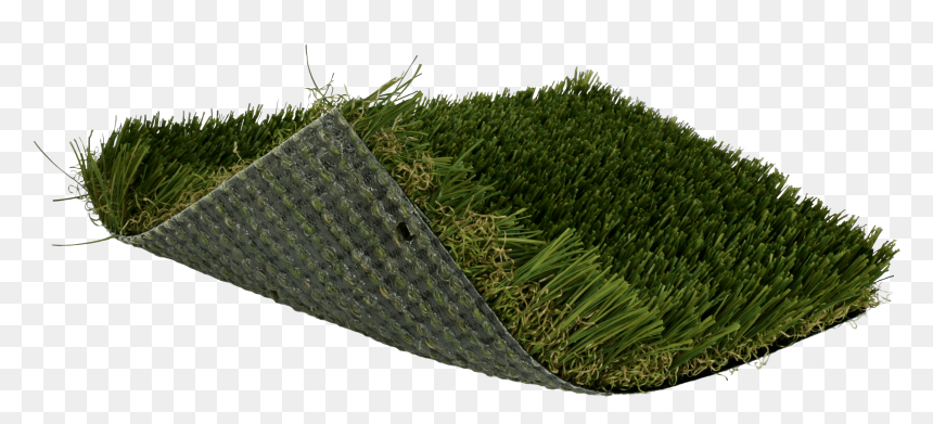 Lawn, HD Png Download - blade of grass png