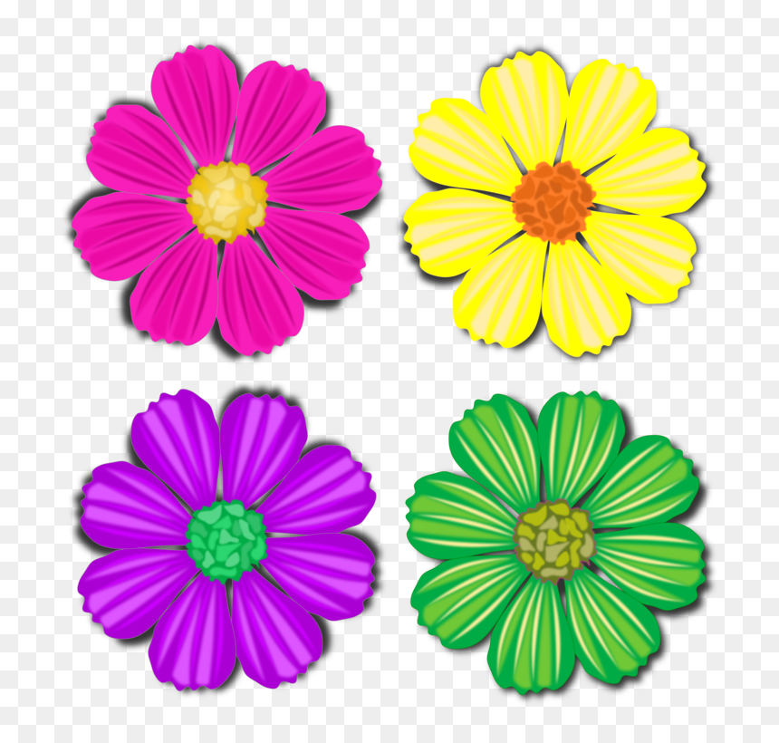 Chrysanths,flower,garden Cosmos - Chrysanthemum Cartoon Clipart, HD Png Download - flower garden png