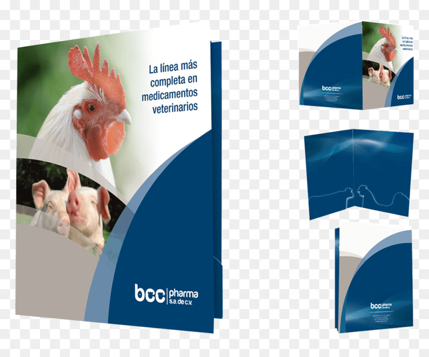 Brochure , Png Download - Diseño Carpetas Corporativas, Transparent Png - carpetas png