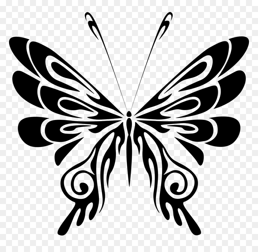 Butterflies Black And White Png, Transparent Png - white butterfly png