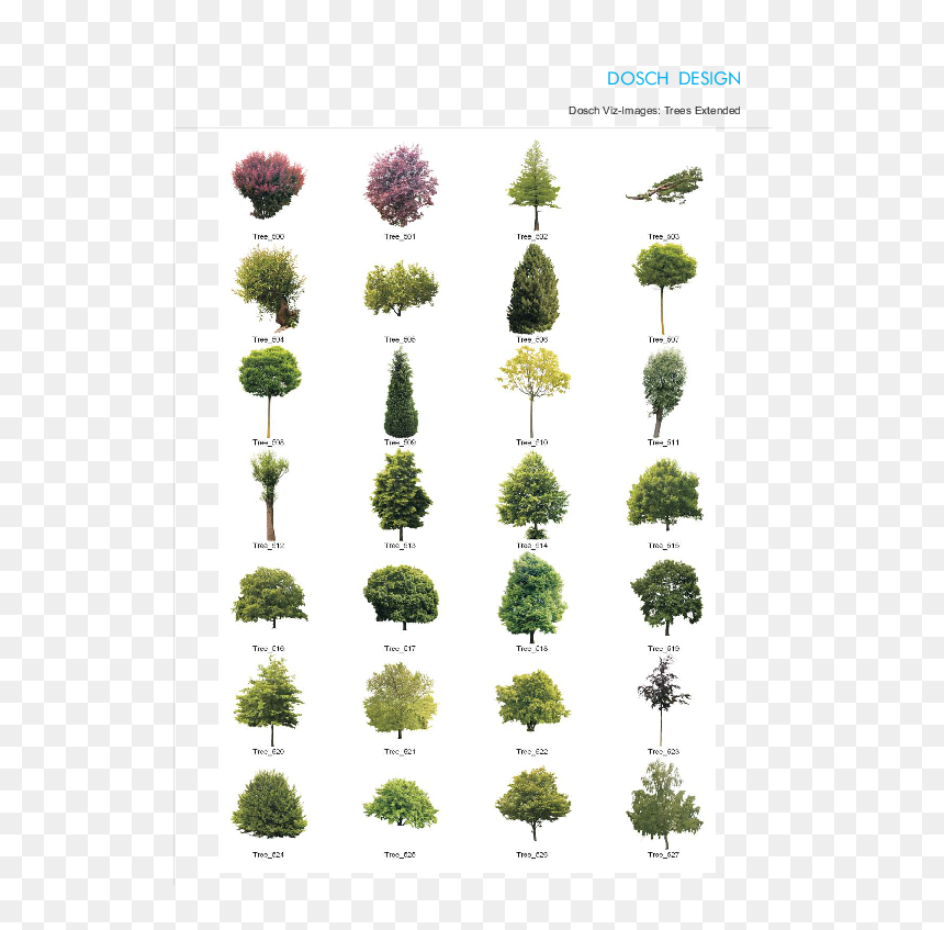 Transparent Tree Cutout Png - Hierba Arbol Y Arbustos, Png Download - tree cutout png