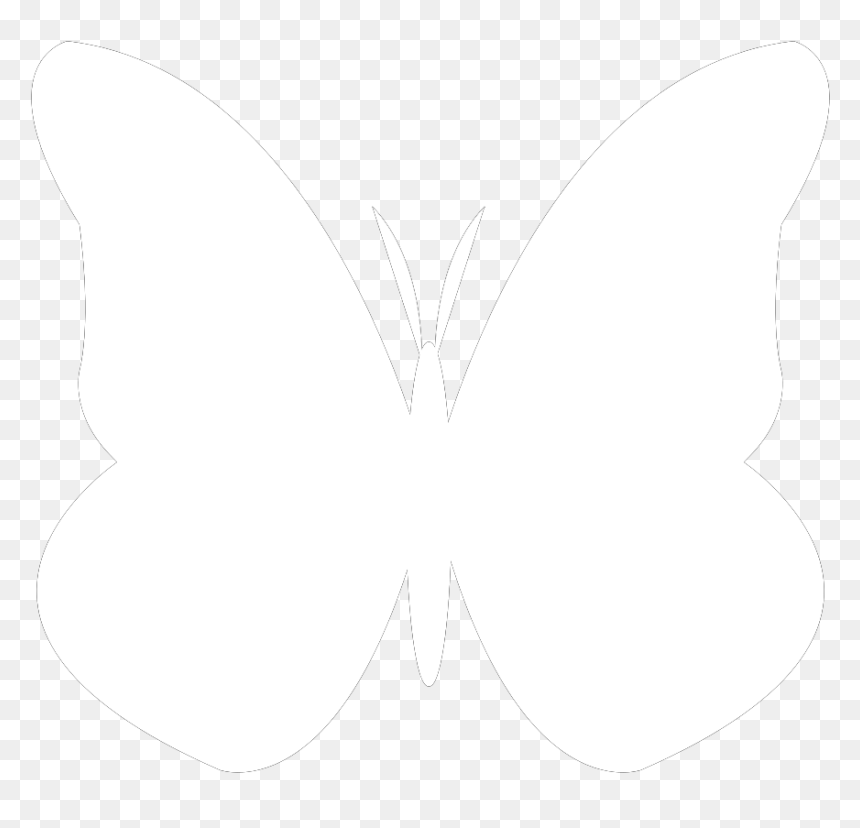 Pieridae, HD Png Download - white butterfly png