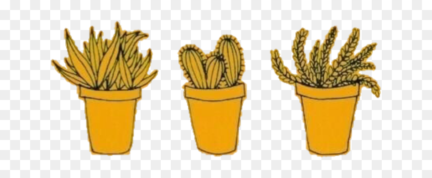 #yellow #amarillo #freetoedit #cactus #tumblr #random - Flowerpot, HD Png Download - cactus png tumblr