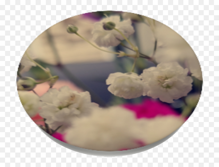 Transparent Flower Field Png - Hydrangea, Png Download - flower field png
