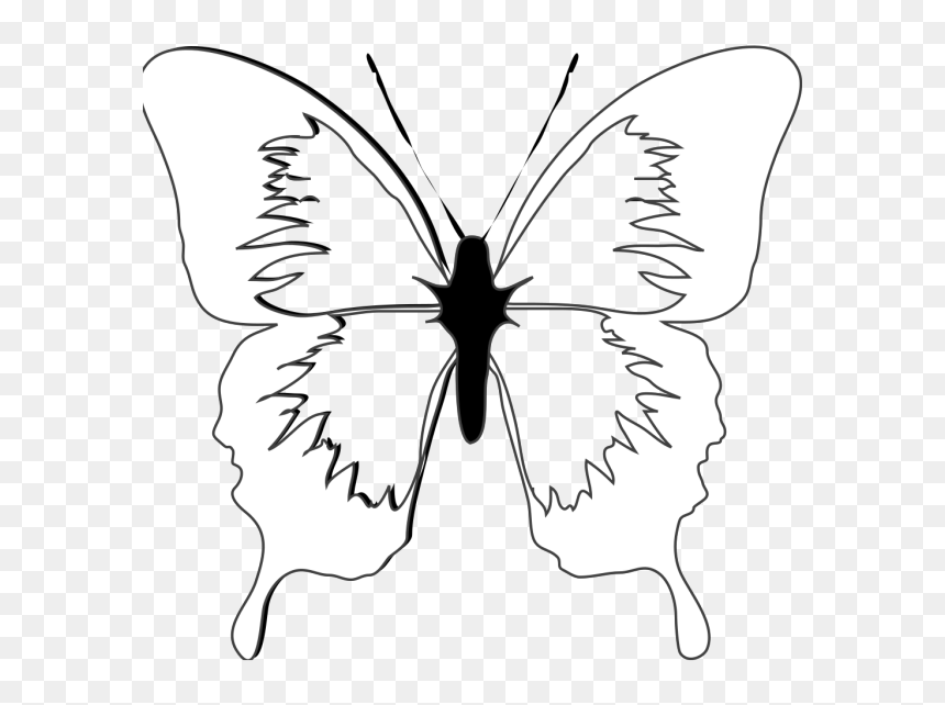 Blue Butterfly Png Icons - Epidermolysis Bullosa Awareness Symbol, Transparent Png - white butterfly png