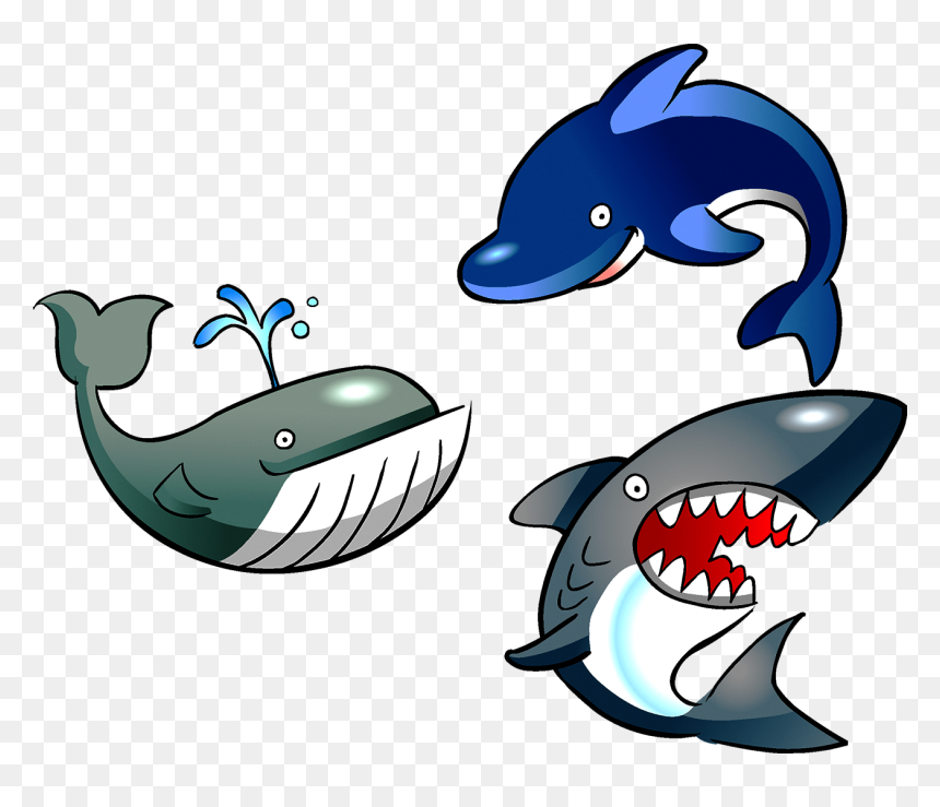 Marine Life Clip Png - Apprendre À Lire, Transparent Png - cartoon shark png