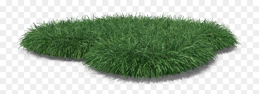 Lawn, HD Png Download - blade of grass png
