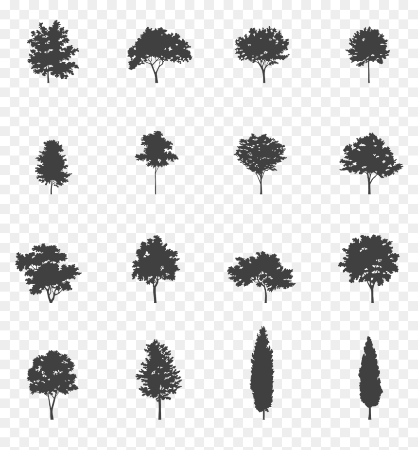 I - Tree Dwg, HD Png Download - tree cutout png