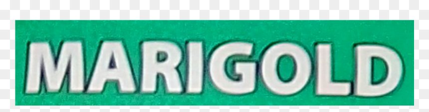 🍃credits To Original Owner Of The Png - Graphics, Transparent Png - green rectangle png