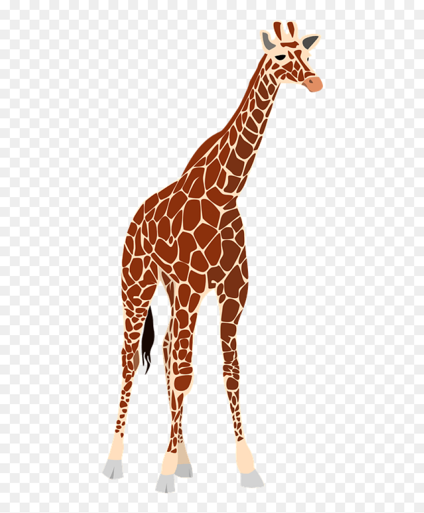 Free Png Giraffe Png Images Transparent - Realistic Giraffe Clip Art, Png Download - giraffe clipart png