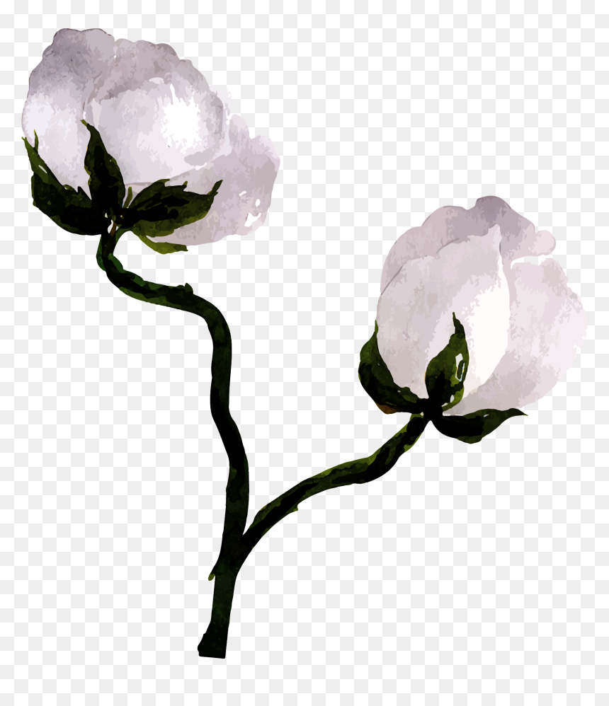 Garden Roses, HD Png Download - flower garden png