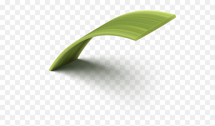 Leek, HD Png Download - blades of grass png