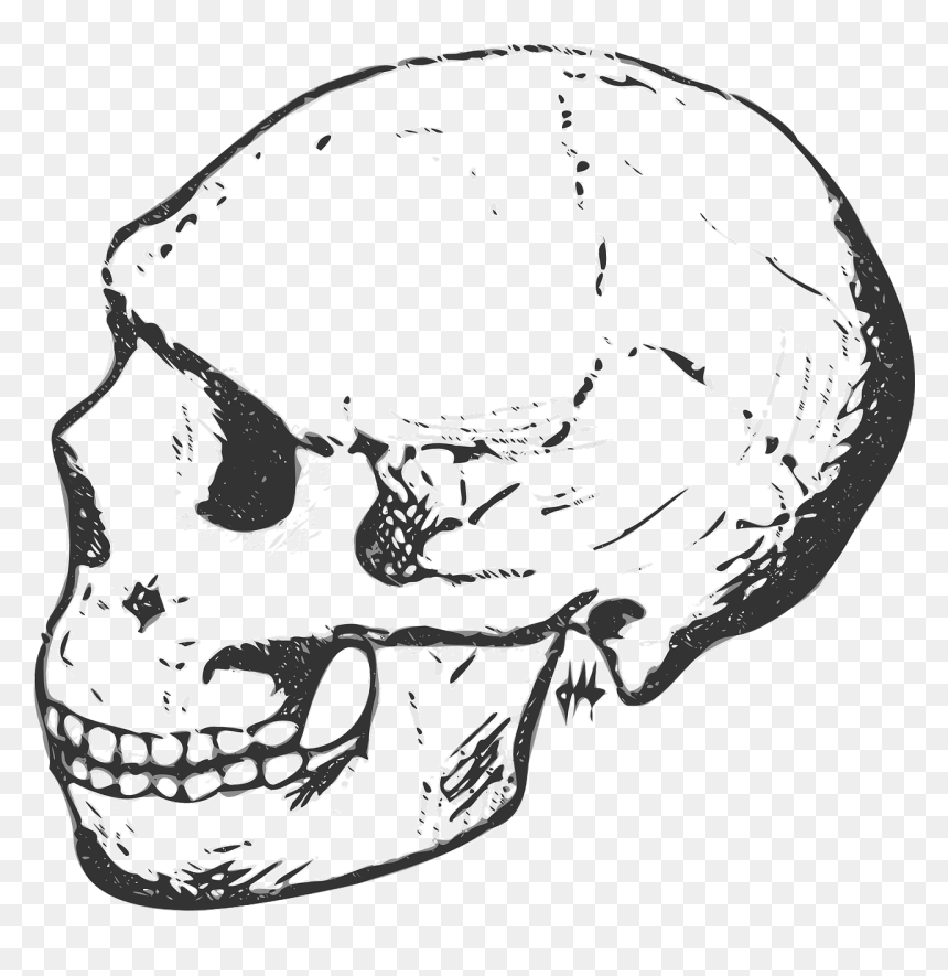 Skull Head Human Free Photo - Black And White Skull, HD Png Download - bone pile png