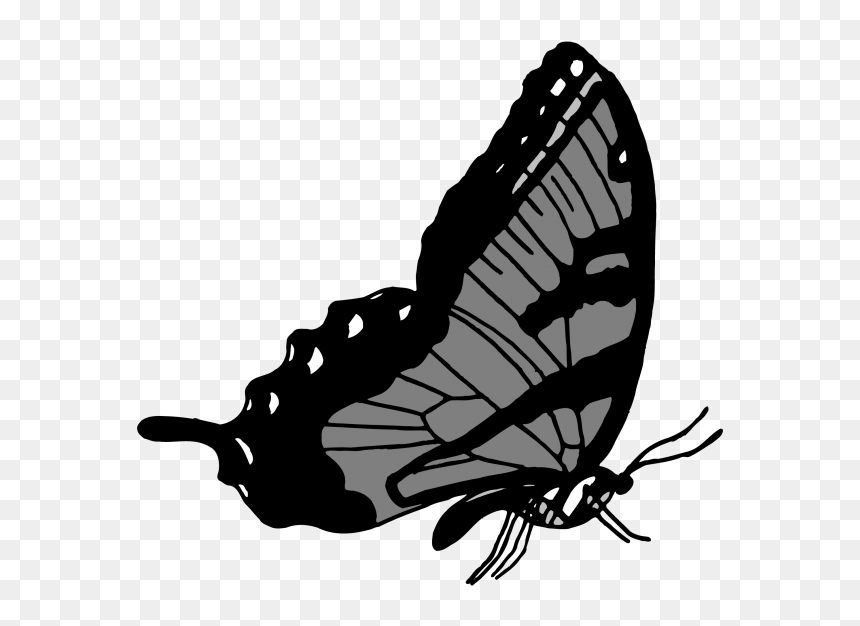 Thumb Image - Papilio Machaon, HD Png Download - insects png