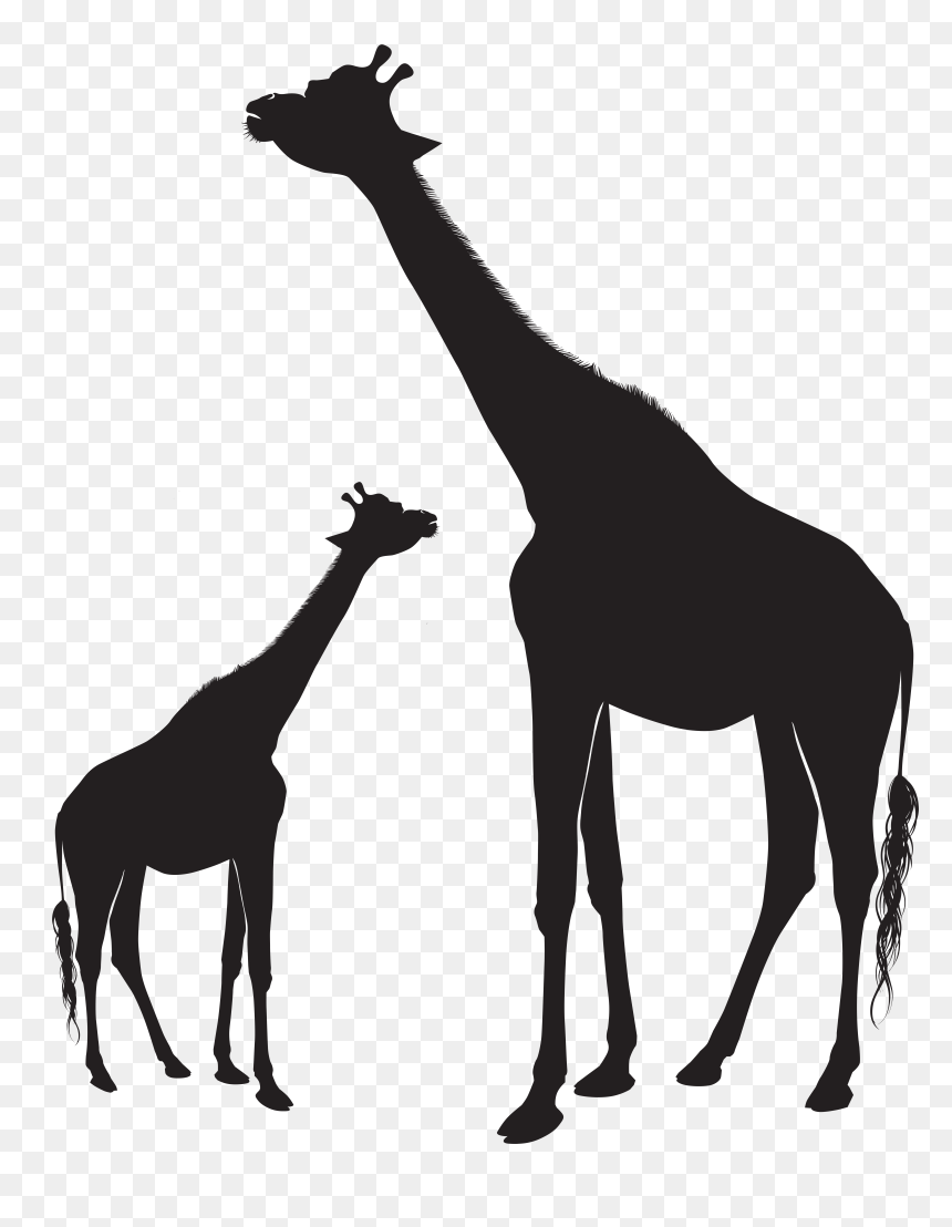 Giraffe Silhouette Animal Mammal Horse, HD Png Download - giraffe clipart png