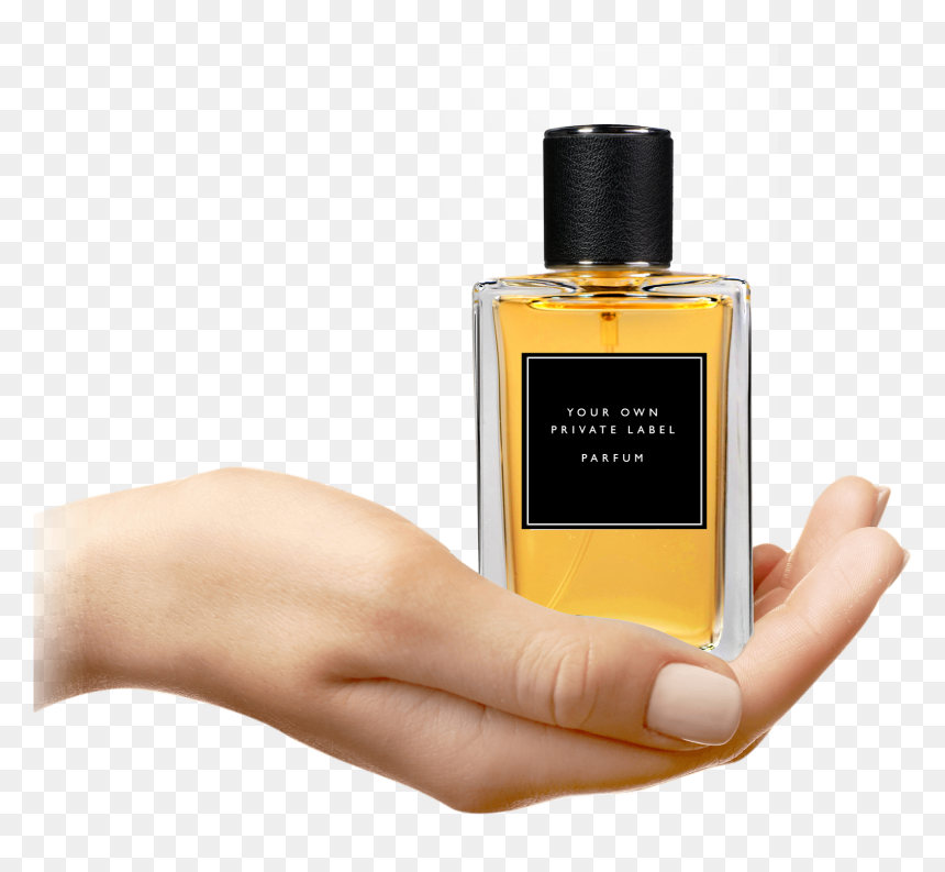 Custom Perfume Creation - Hand Holding Jar, HD Png Download - perfumes png