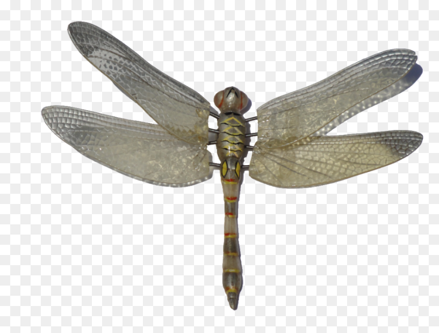 Dragonfly Png Image - Dragonfly Png Png, Transparent Png - insects png