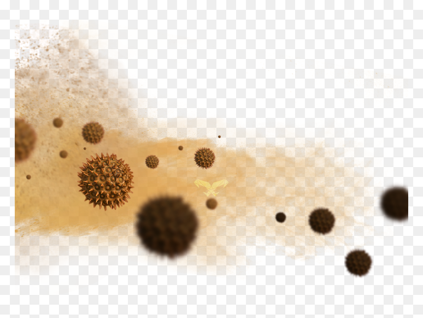 Close-up, HD Png Download - pollen png
