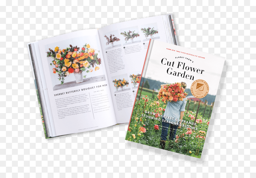 Chrysanths, HD Png Download - flower garden png