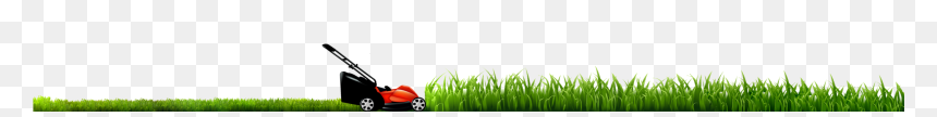 Lawn, HD Png Download - blades of grass png