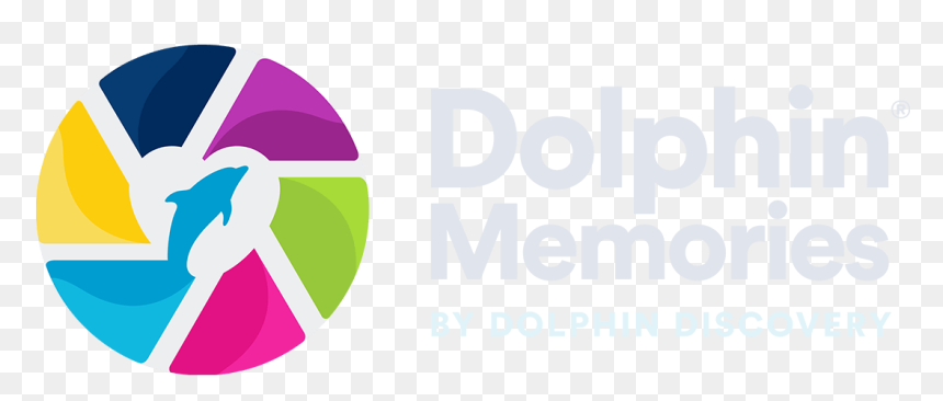 Dolphin Discovery Memories , Png Download - Graphic Design, Transparent Png - memories png