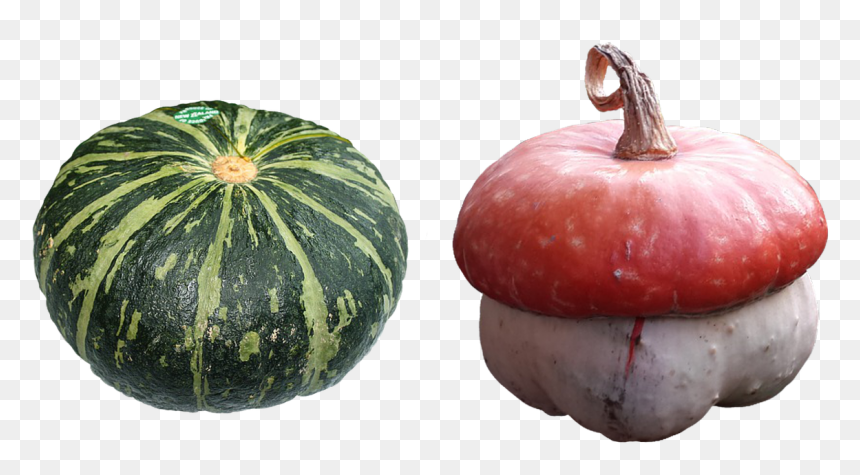 Alphabetical Order List Green Vegetables, HD Png Download - vegetable garden png