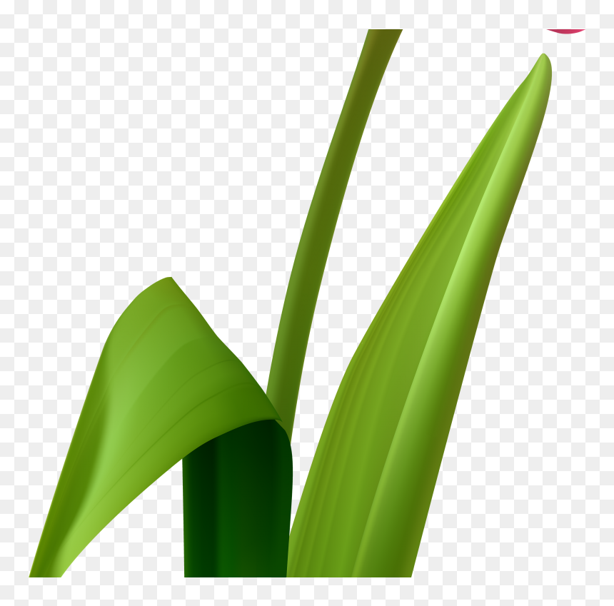 Grass Clipart , Png Download - Grass, Transparent Png - blades of grass png