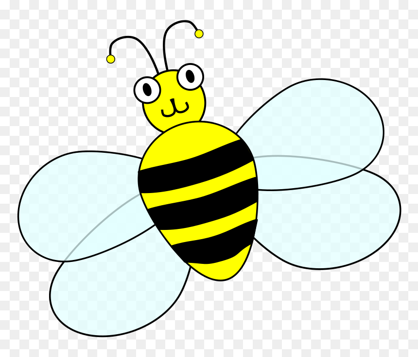 Clipart Of Contest, Contests And Spelling - Net-winged Insects, HD Png Download - insects png