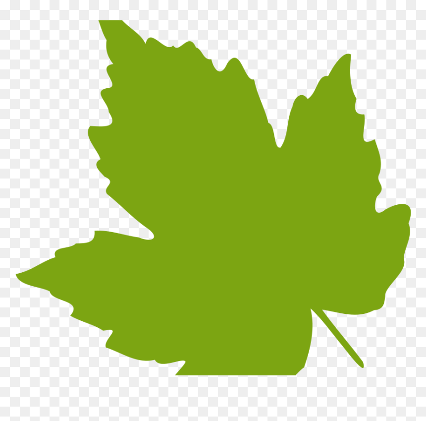 Download Leaf Images Clip Art - Green Leaves Clip Art, HD Png Download - cartoon leaf png