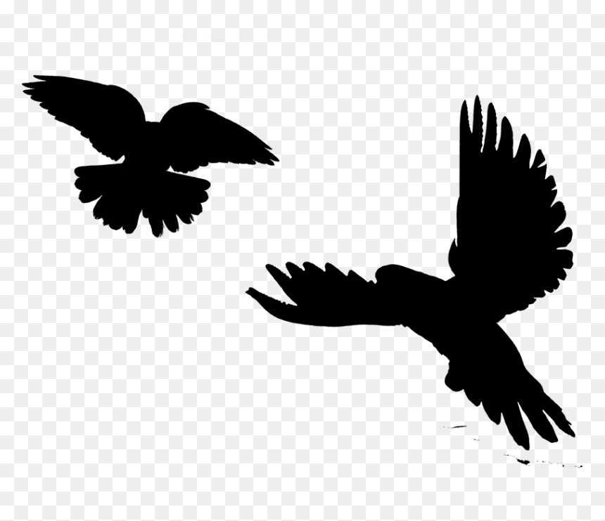 Image Silhouette Eagle Bird Clip Art - Birds, HD Png Download - wing silhouette png