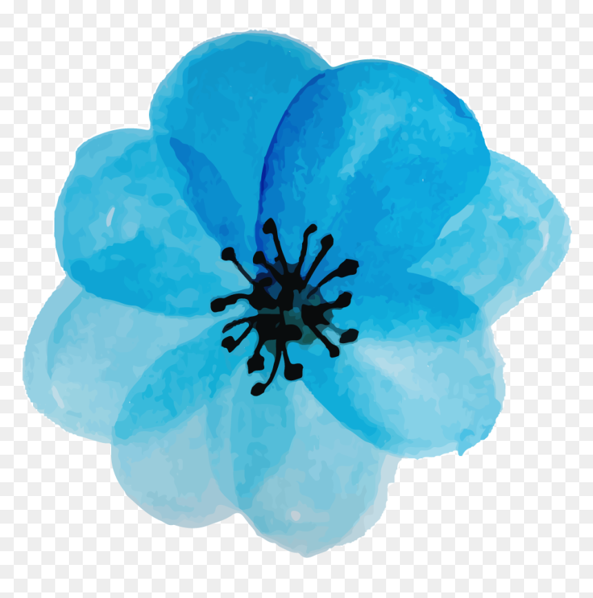 Corn Poppy, HD Png Download - water color flower png