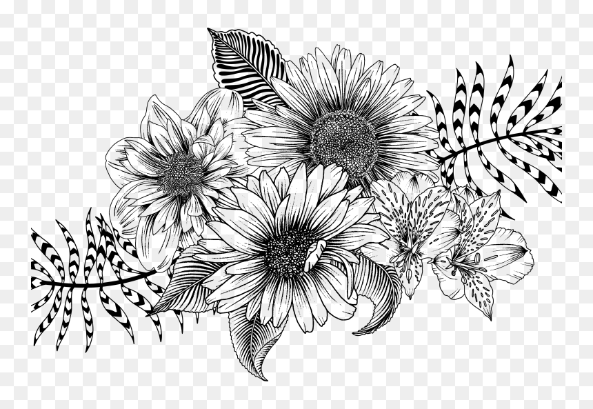 Bouquet Of Flowers Black And White, HD Png Download - flower field png