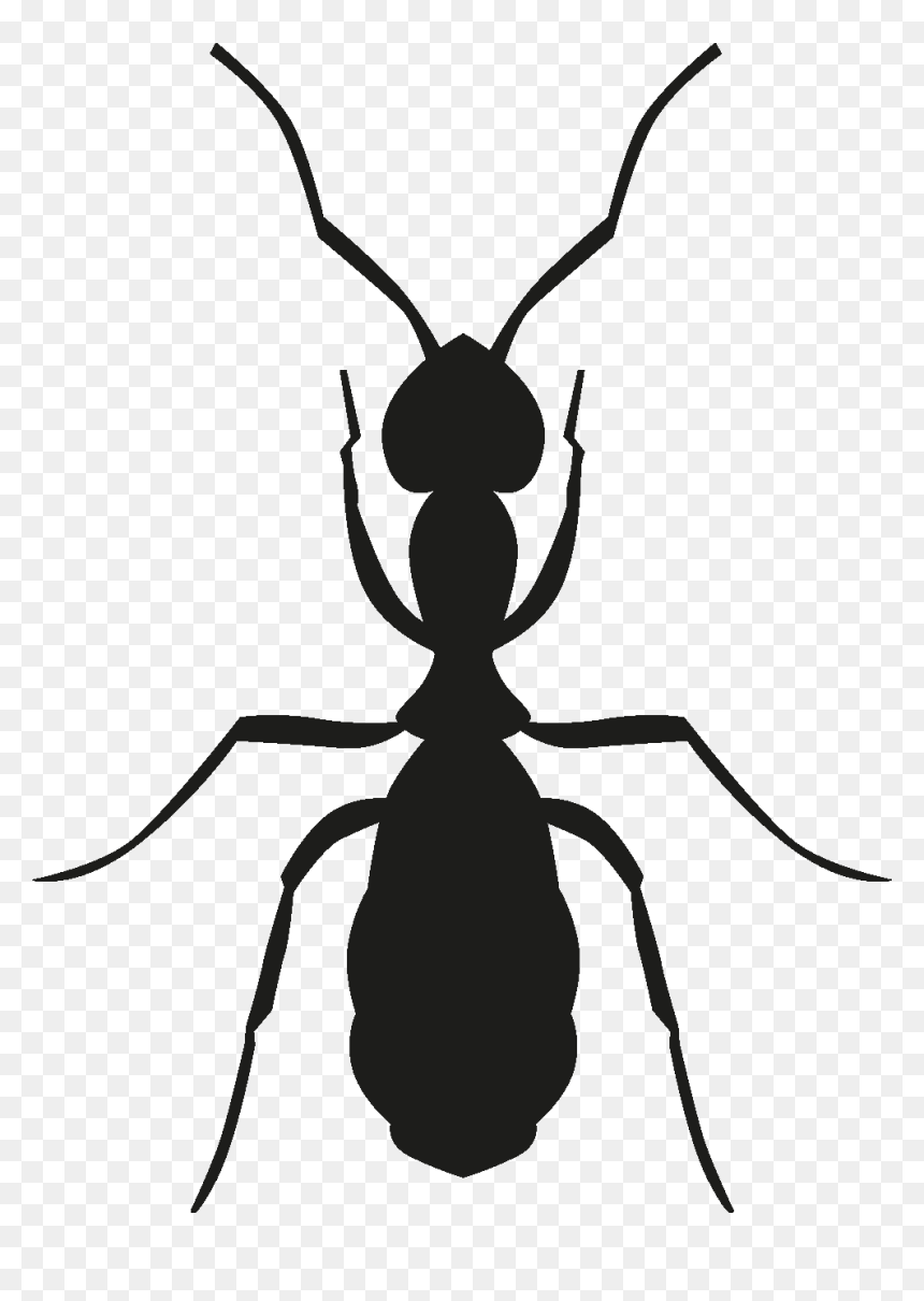 Insects Set [silhouette] Png - Animated Ant Images Walk, Transparent Png - insects png
