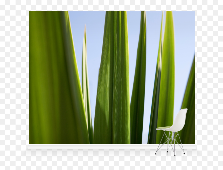 Grass, HD Png Download - blades of grass png